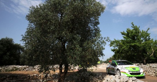 Rally del Salento